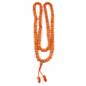 Mala in Semi di Rudraksha